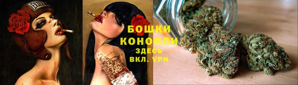 сатива Беломорск