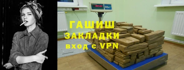 сатива Беломорск