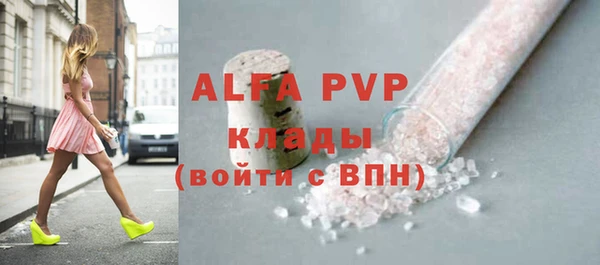 сатива Беломорск