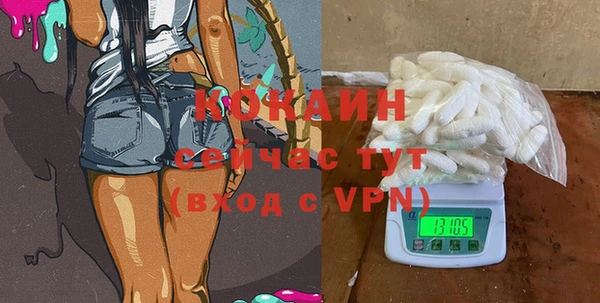 сатива Беломорск