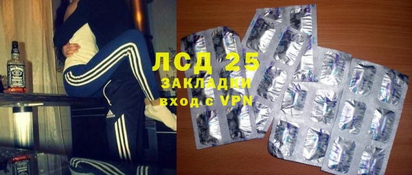 сатива Беломорск