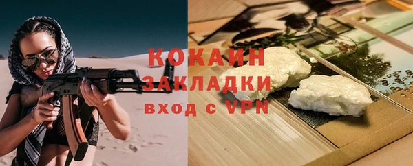 сатива Беломорск