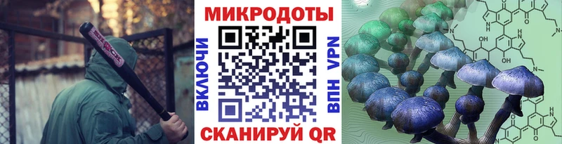 блэк спрут как зайти  Маркс  Псилоцибиновые грибы мицелий  дарнет шоп 